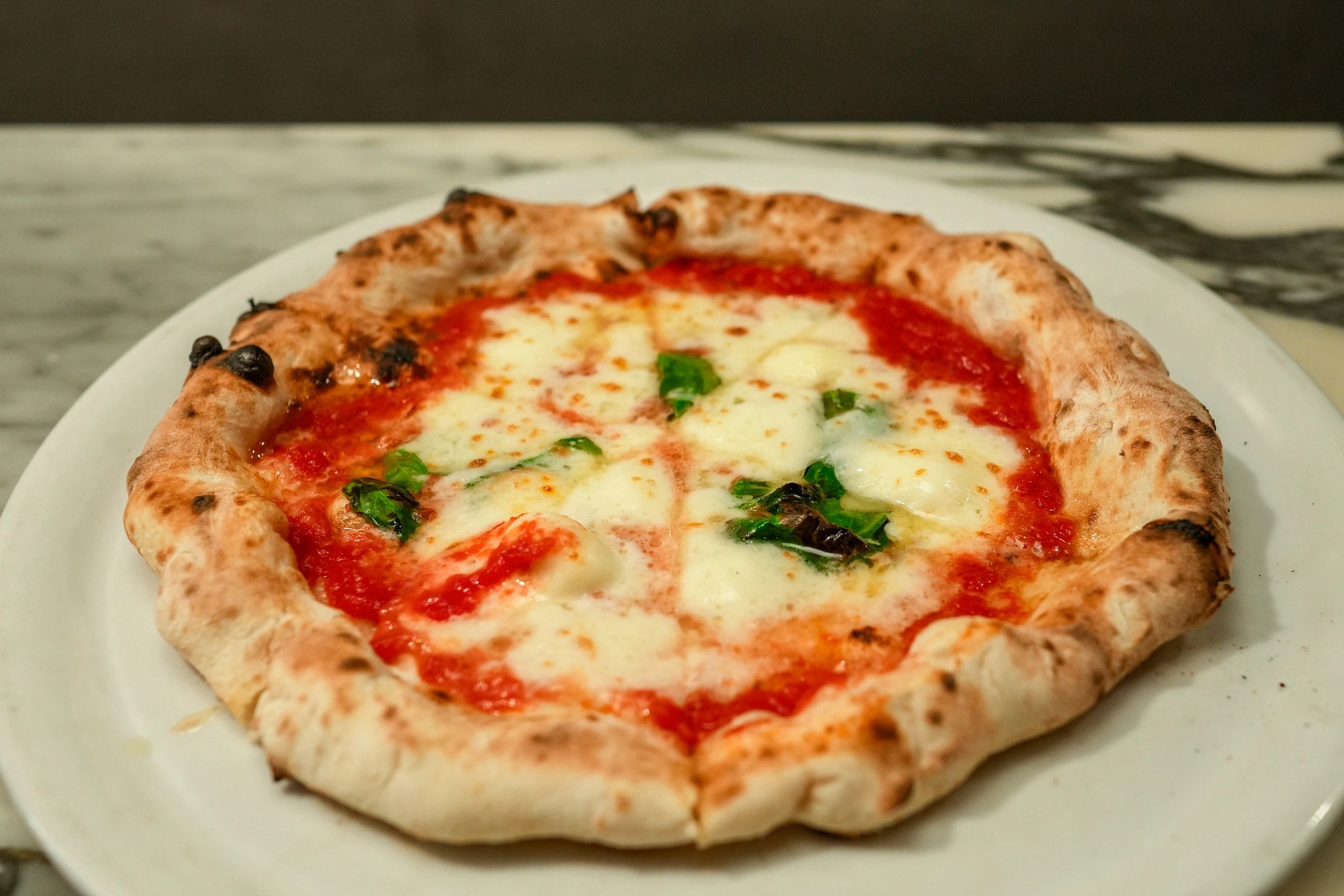 Fresh Margherita pizza served hot